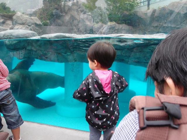 上野動物園の画像2