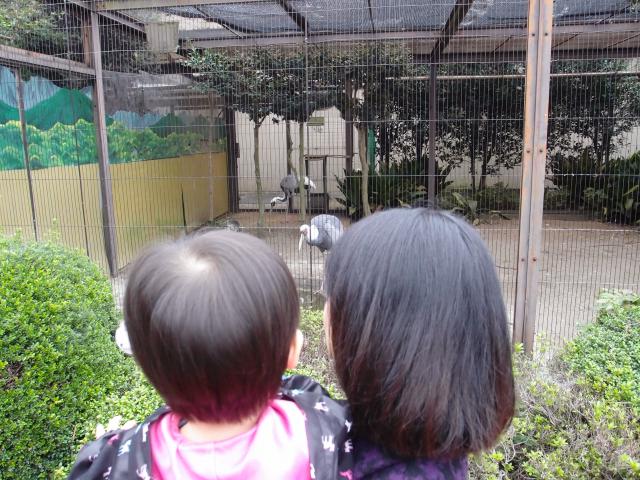 上野動物園の画像3