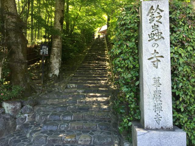 完全予約制の“苔寺”への画像1