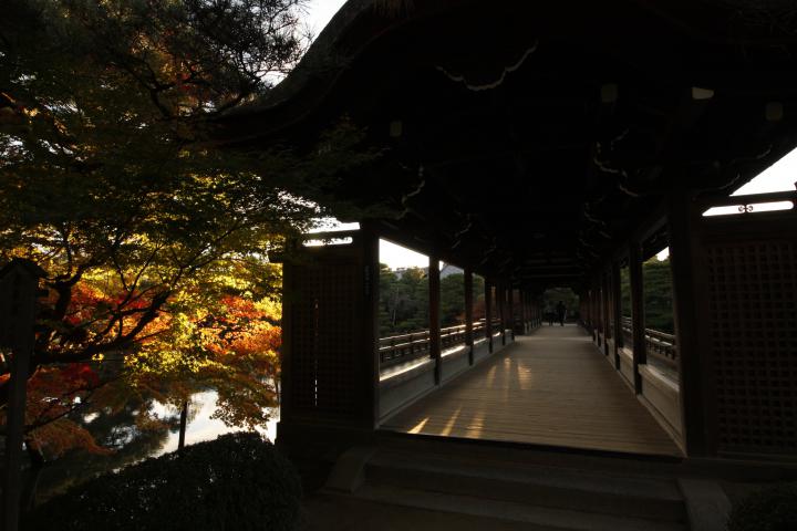京都　平安神宮の画像4