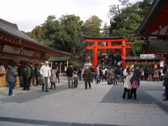 京都で神社巡り！