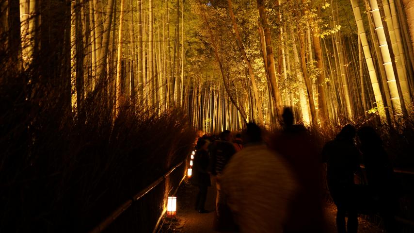 ライトアップ紅葉の京都嵐山散策の画像4