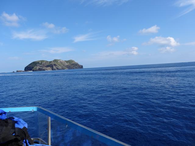 週末ダイビング　in　沖縄　座間味ブルーの画像3