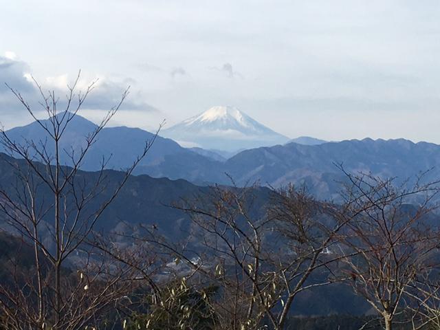 東京で豊かな自然を満喫！高尾山への画像4