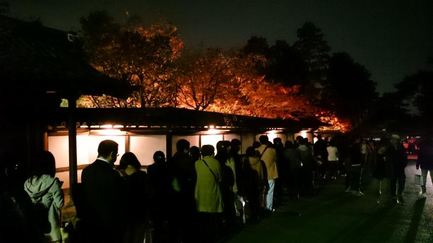 京都紅葉旅の画像4