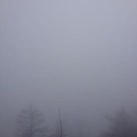 雲取山に登ろうの画像3